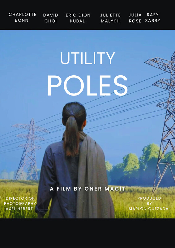 Utility Poles